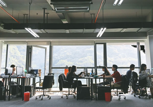 ��˾����